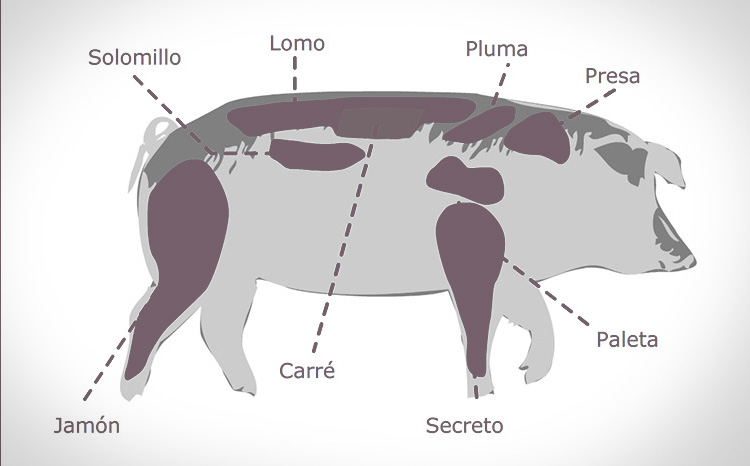 Las partes del cerdo y su aprovechamiento en la cocina
