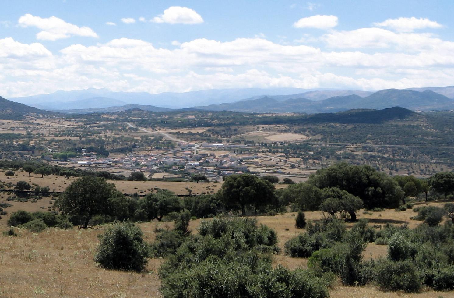 Tradición y excelencia: el nombre de Guijuelo en la historia del ibérico